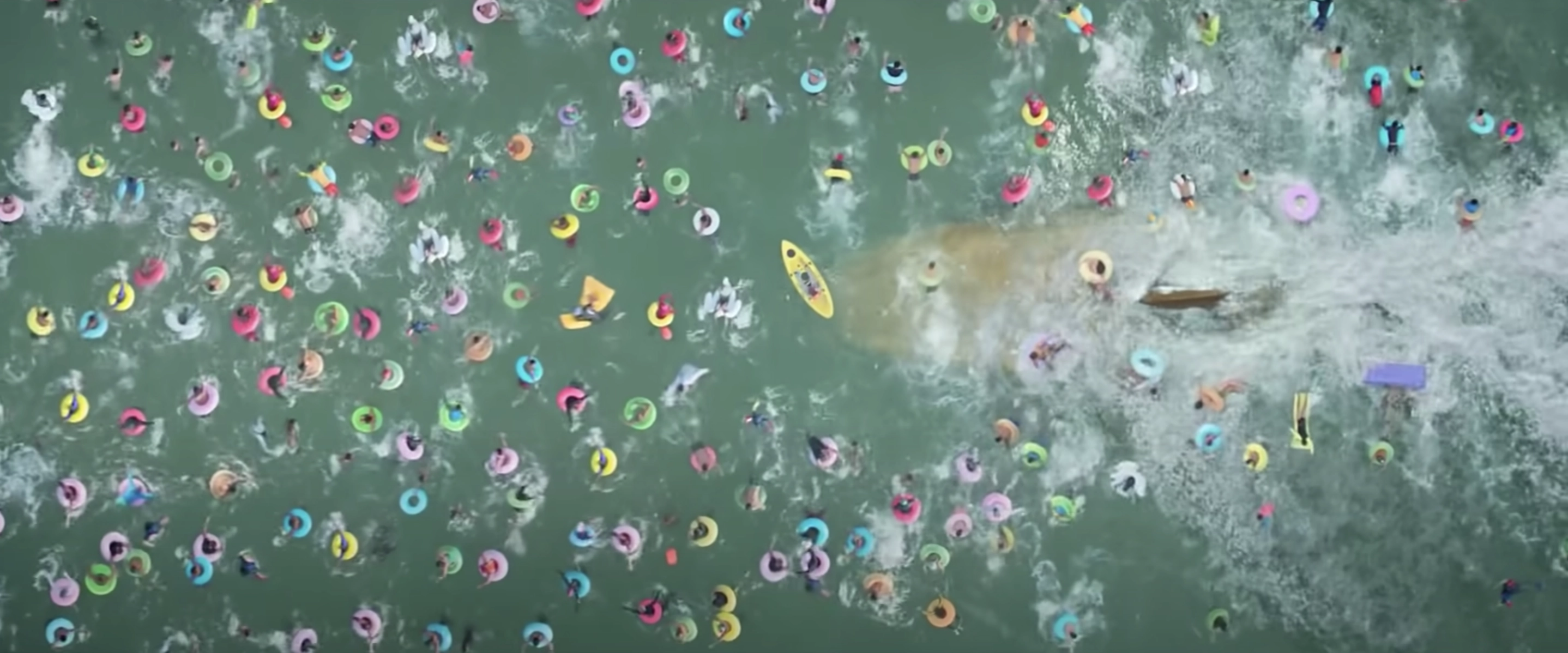 The Meg still